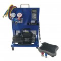 Mastercool 91585-B Portable Charging Station with 6 CFM single-stage vacuum pump-