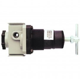 Milton 1113 Regulator, 10 to 250 psi, ¼" NPT-