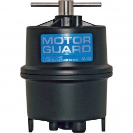 Motor Guard M-30 Compressed Air Filter, 1/4&amp;quot; NPT, 0.01 micron-