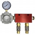 Reading Technologies RG4MAD Regulator with Gauge and Multiport Manifold, 0 to 160 psi, 1/2" NPT-