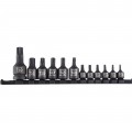 Sunex 1820SA Internal Star Sockets on Rail, 12-pack, 1/4", 3/8", and 1/2" drive-
