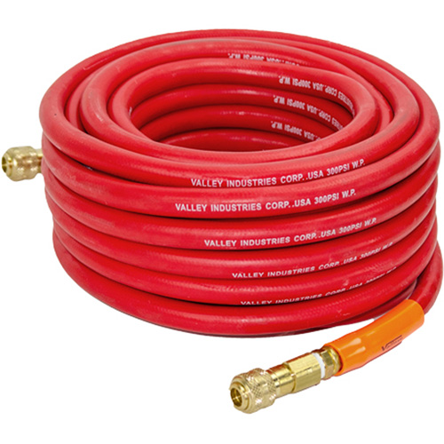 Bon 13-175-B5 Replacement Air Hose, 50 Feet