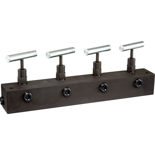 FREEDOM HYDRAULICS MANN4 12" Long Manifold Block With 4 Needle Valves, 1 In - 4 Out, 3/8" NPTF