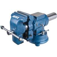 Aurora Tools TYL102 Multi-Purpose Bench Vise, 5" Jaw Width, 3-1/10" Throat Depth