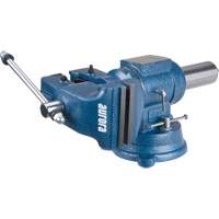 Aurora Tools TYL102 Multi-Purpose Bench Vise, 5" Jaw Width, 3-1/10" Throat Depth