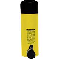 ESCO 10310 Pro-Series Single Acting Ram