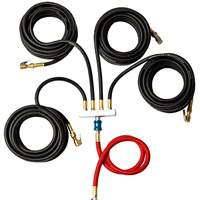 ESCO 10965-K Digital Wall Mounted Tire Inflator with Tire Inflation 4-Way Manifold System