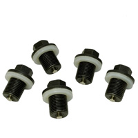 5-Pc Replacement Magnetic Plug Set LIS58650 | ToolDiscounter