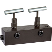 FREEDOM HYDRAULICS MANN2 6" Long Manifold Block With 2 Needle Valves, 1 In - 2 Out, 3/8" NPTF