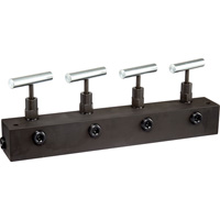 FREEDOM HYDRAULICS MANN4 12" Long Manifold Block With 4 Needle Valves, 1 In - 4 Out, 3/8" NPTF