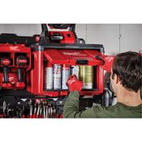 Milwaukee ML48-22-8445 Packout Tool Cabinet