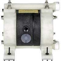 National Spencer ZE0403PT 1/4" Double Diaphragm Pump