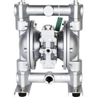 National Spencer ZE1232UL 3/4" UL Aluminum Double Diaphragm Pump