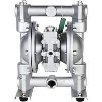 National Spencer ZE1646UL 1" UL Aluminum Double Diaphragm Pump