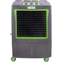 GREAT NECK 23968 3100 CFM Evaporative Cooler