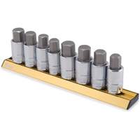 Titan 16132 SAE/Metric Bit Socket Set with Magnetic Anodized Rails
