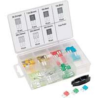 Titan 45231 Titan&reg; 71-Piece Micro 2-Fuse Assortment